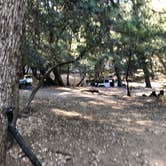 Review photo of Palomar Mountain State Park Campground by Teeum  H., October 10, 2020