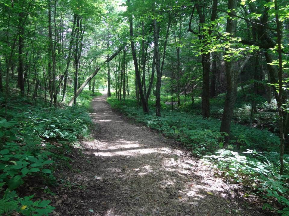 Camper-submitted photo at Wildcat Mountain State Park Campground near Newton, WI
