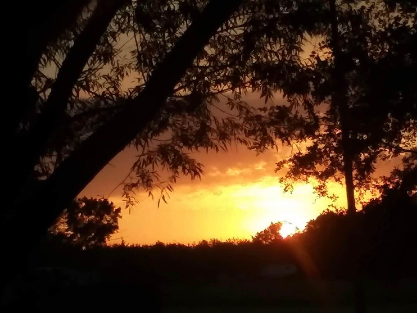 Camping near Blanding Landing: Stropes Campground, Savanna, Illinois
