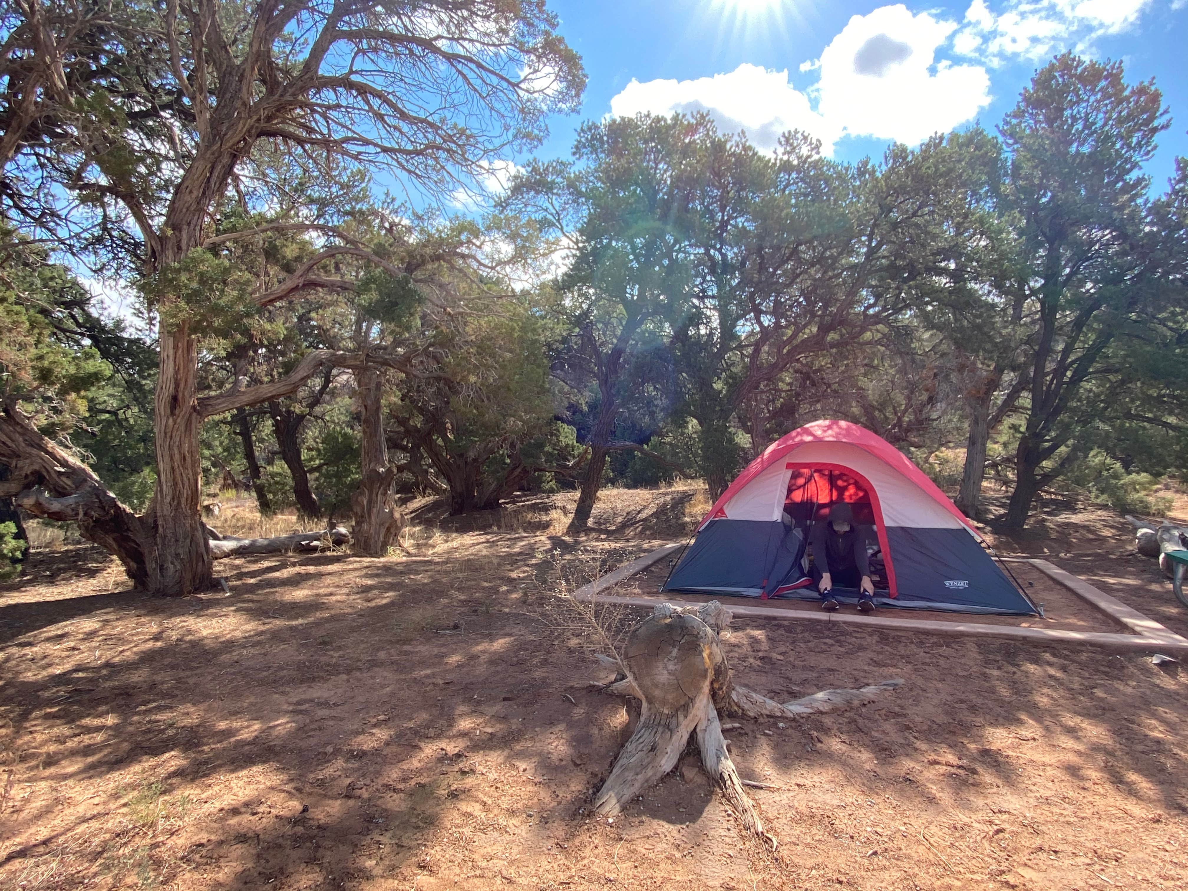 Rachel T.'s photo at Split Top Group Campsite — Canyonlands National Park near Canyonlands National Park