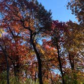 Review photo of Lake Elmo County Park Preserve by Jaime N., October 10, 2020