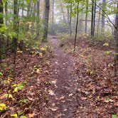 Review photo of Red River Gorge Campground by Wayne H., October 10, 2020