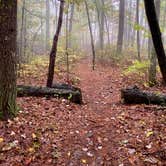 Review photo of Red River Gorge Campground by Wayne H., October 10, 2020