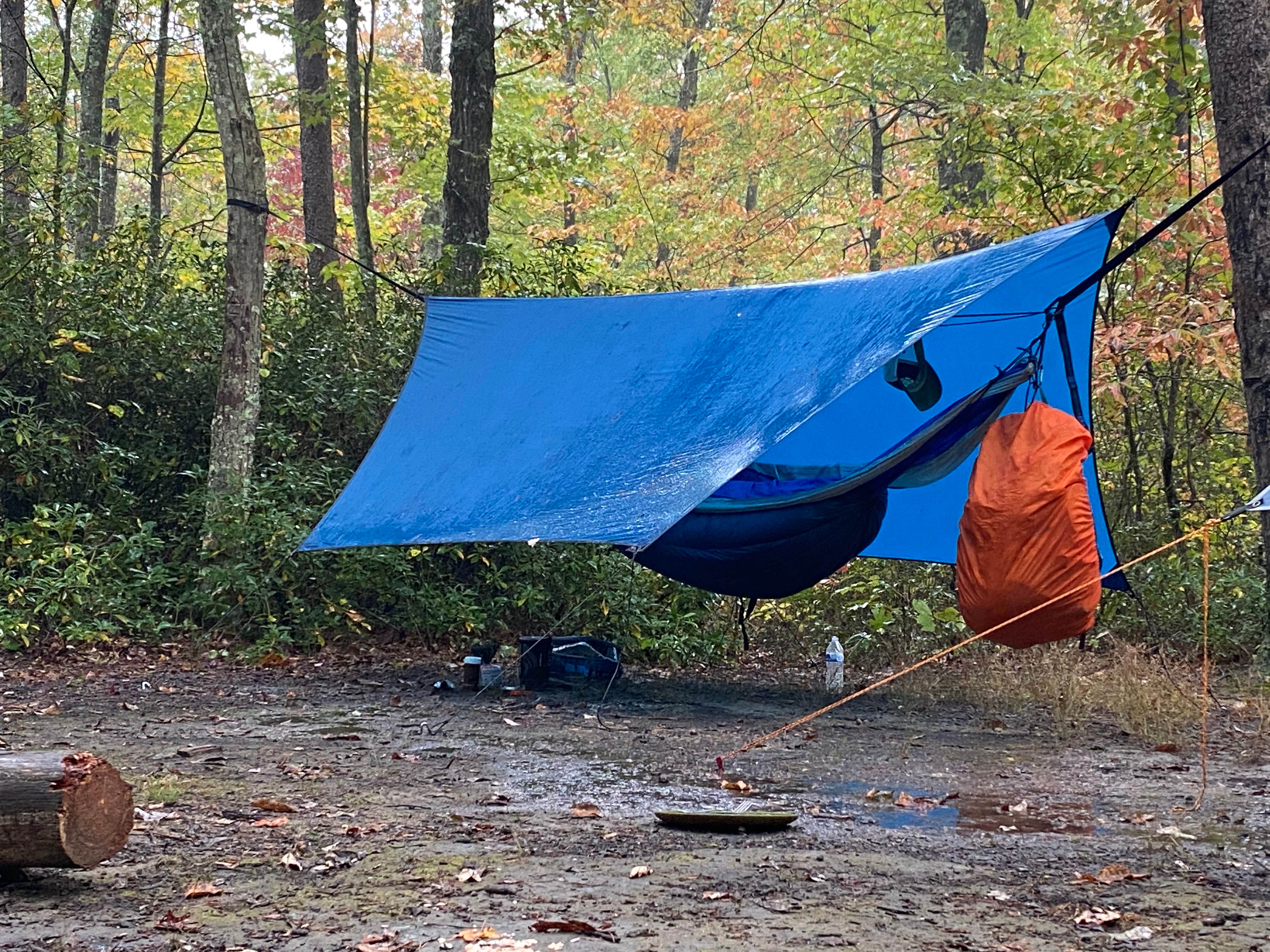 Wayne H.'s photo of tent camping at Red River Gorge Campground near Cynthiana, KY