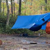 Review photo of Red River Gorge Campground by Wayne H., October 10, 2020