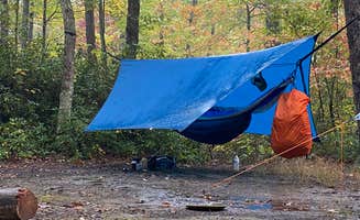 Wayne H.'s photo at Red River Gorge Campground near Clay City, KY