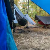 Review photo of Red River Gorge Campground by Wayne H., October 10, 2020