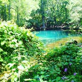 Review photo of Manatee Springs State Park Campground by Theresa K., May 17, 2018