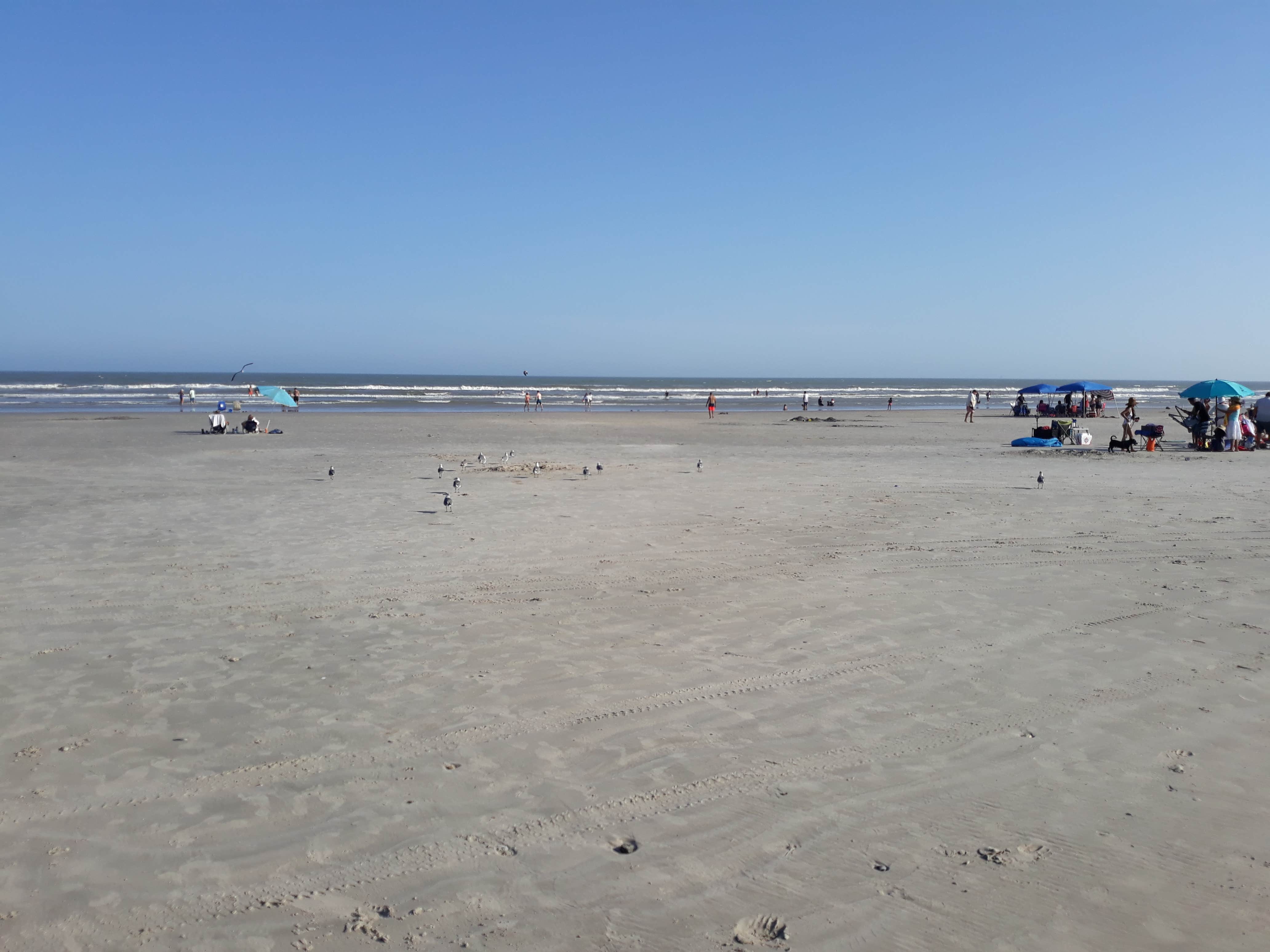 Camper-submitted photo at On The Beach RV Park near Port Aransas, TX