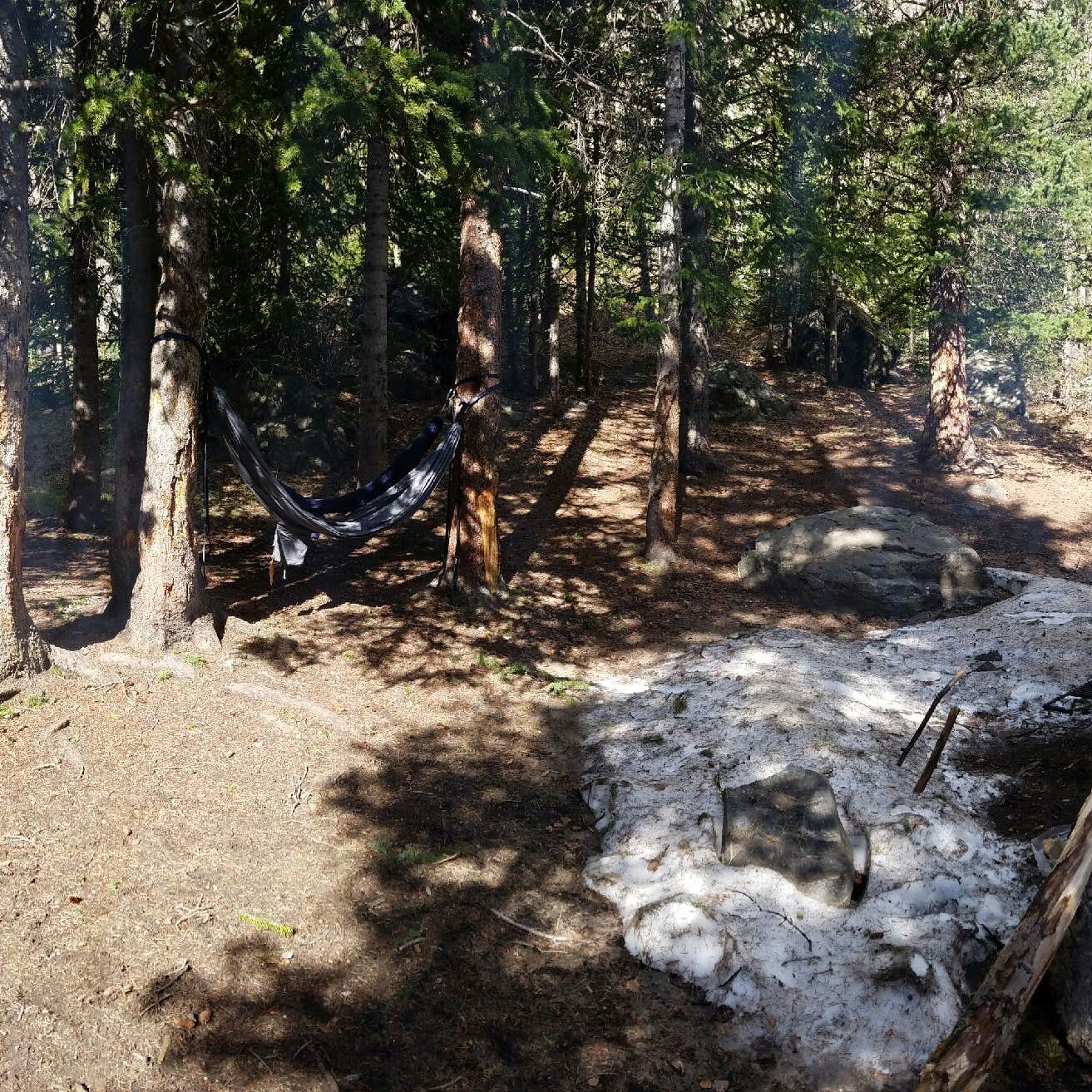 Clear Lake Camping The Dyrt