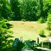 Review photo of Manatee Springs State Park Campground by Theresa K., May 17, 2018