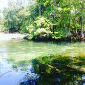Review photo of Manatee Springs State Park Campground by Theresa K., May 17, 2018