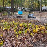 Review photo of Round Top Campground by Alice G., October 10, 2020