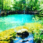 Review photo of Manatee Springs State Park Campground by Theresa K., May 17, 2018
