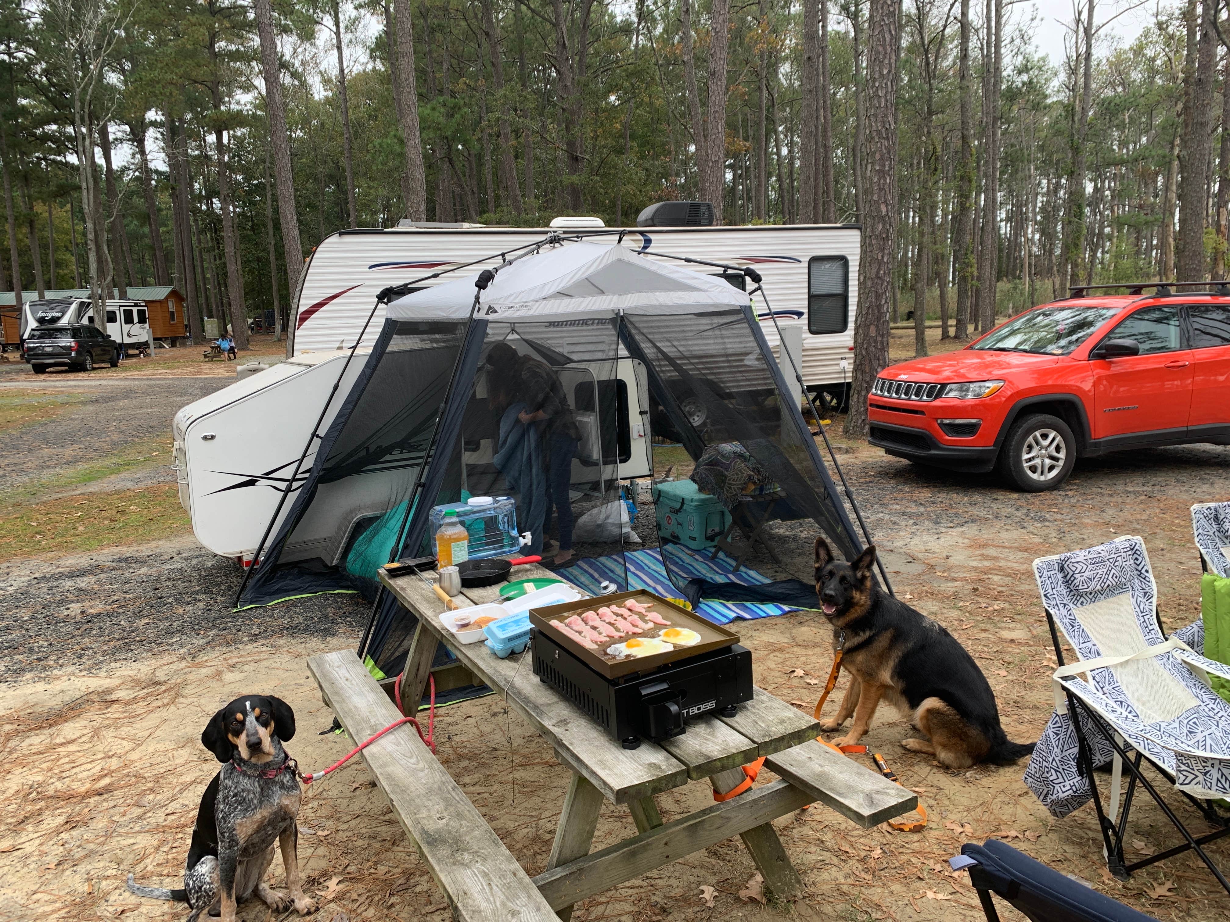Trey C.'s photo of rv camping at Tall Pines / Chesapeake Bay KOA Holiday near Parsonsburg, MD