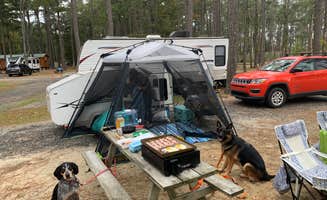 Trey C.'s photo at Tall Pines / Chesapeake Bay KOA Holiday near Tangier, VA