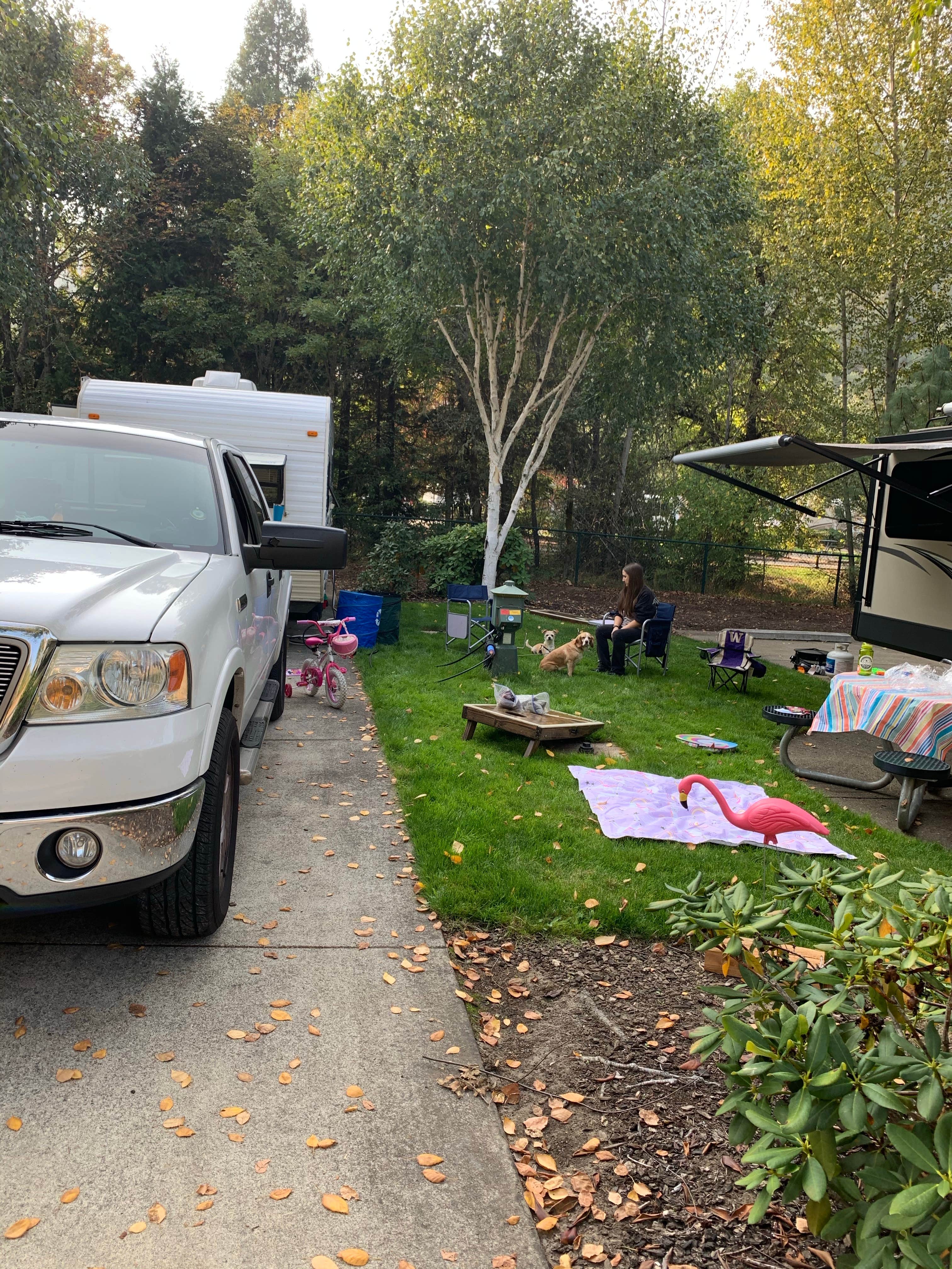 Adam W.'s photo of rv camping at Seven Feathers RV Resort near Trail, OR