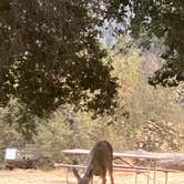 Review photo of Cachuma Lake Recreation Area by Samantha W., October 10, 2020