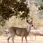 Review photo of Cachuma Lake Recreation Area by Samantha W., October 10, 2020