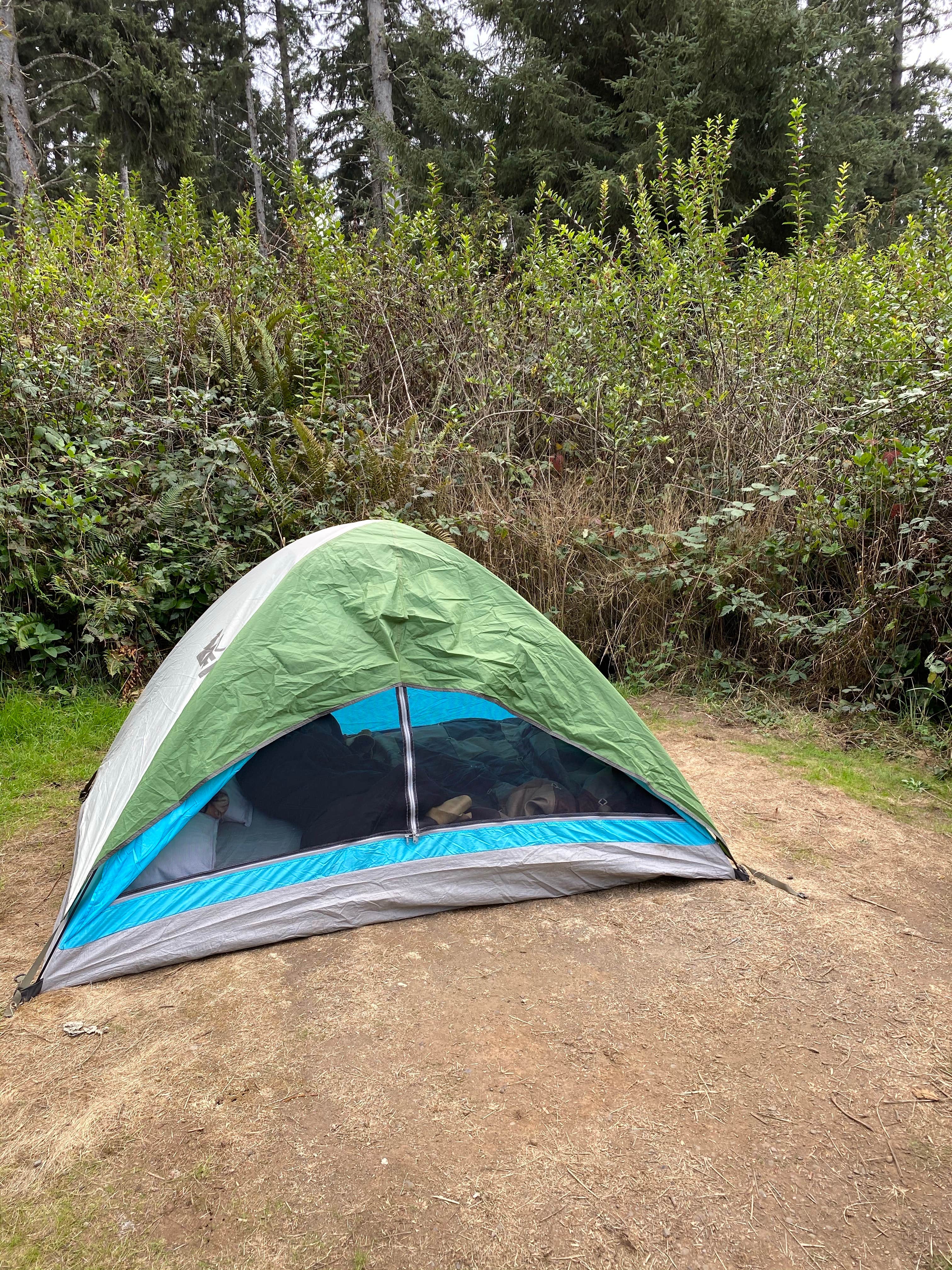 Elisa's photo of tent camping at Agate Campground near Trinidad, CA
