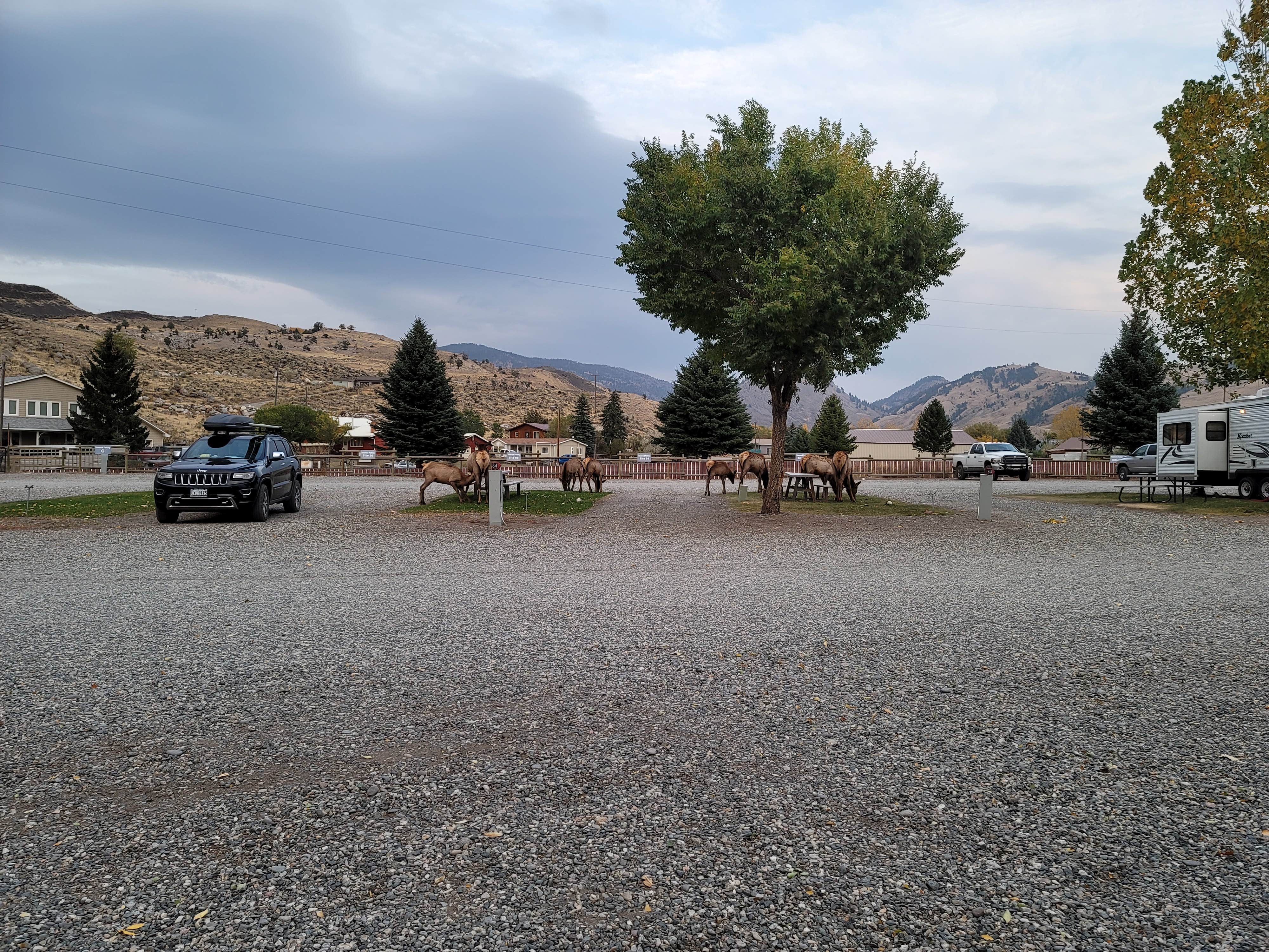 Camper-submitted photo at Sun Outdoors Yellowstone North near Silver Gate, MT