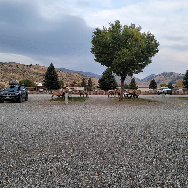 THE 10+ BEST RV Parks near Yellowstone National Park