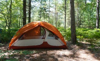 Hilary S.'s photo at Pine Bluff Campground - Dispersed Backcountry near Pictured Rocks National Lakeshore
