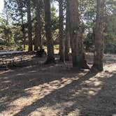 Review photo of Grave Springs Campground by Monica M., October 11, 2020