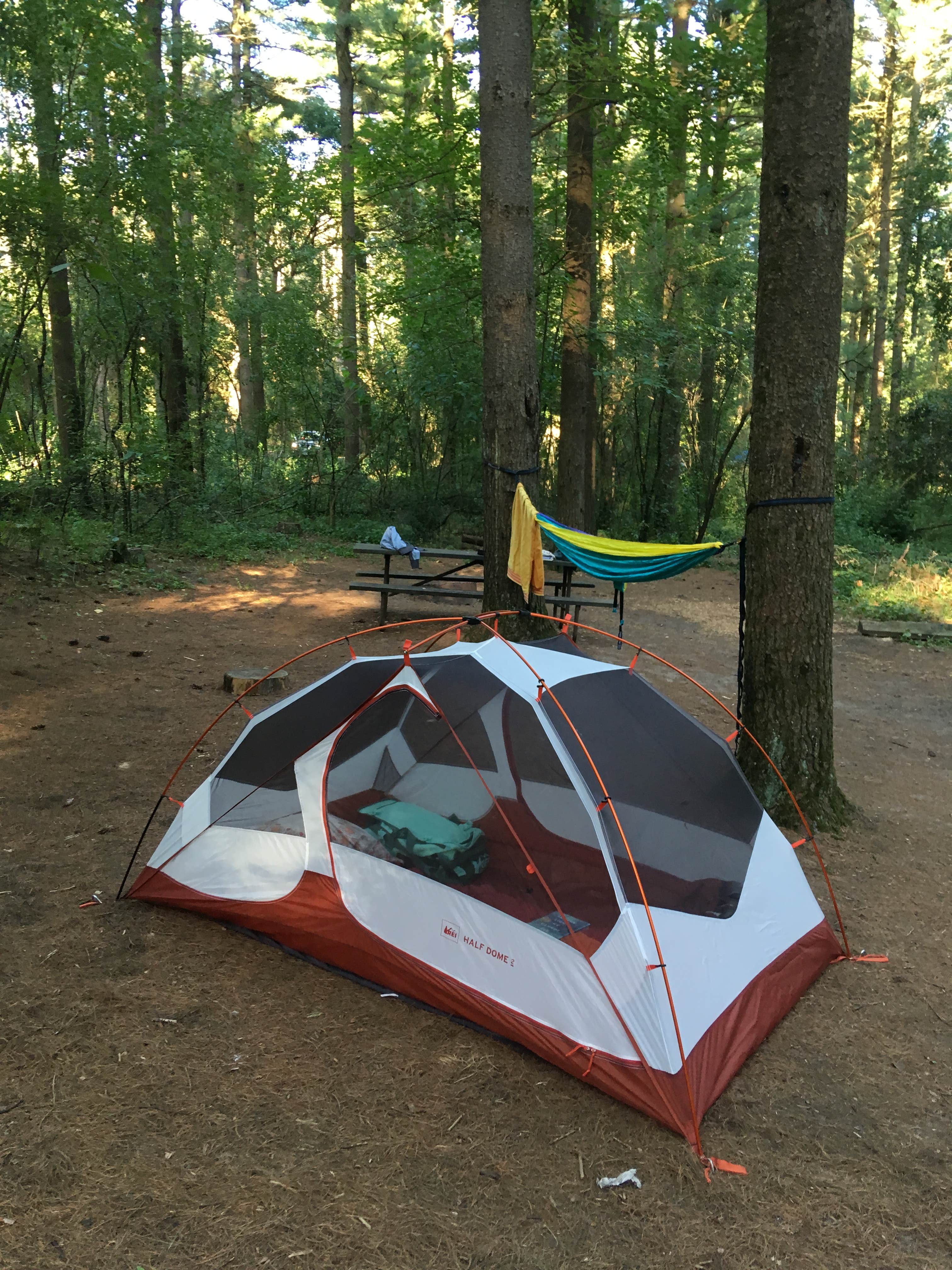 Pinewoods Campground The Dyrt