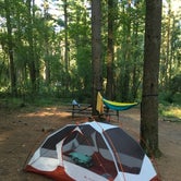 Review photo of Pinewoods Campground — Kettle Moraine State Forest-Southern Unit by Hilary S., October 11, 2020
