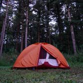 Review photo of Pinewoods Campground — Kettle Moraine State Forest-Southern Unit by Hilary S., October 11, 2020