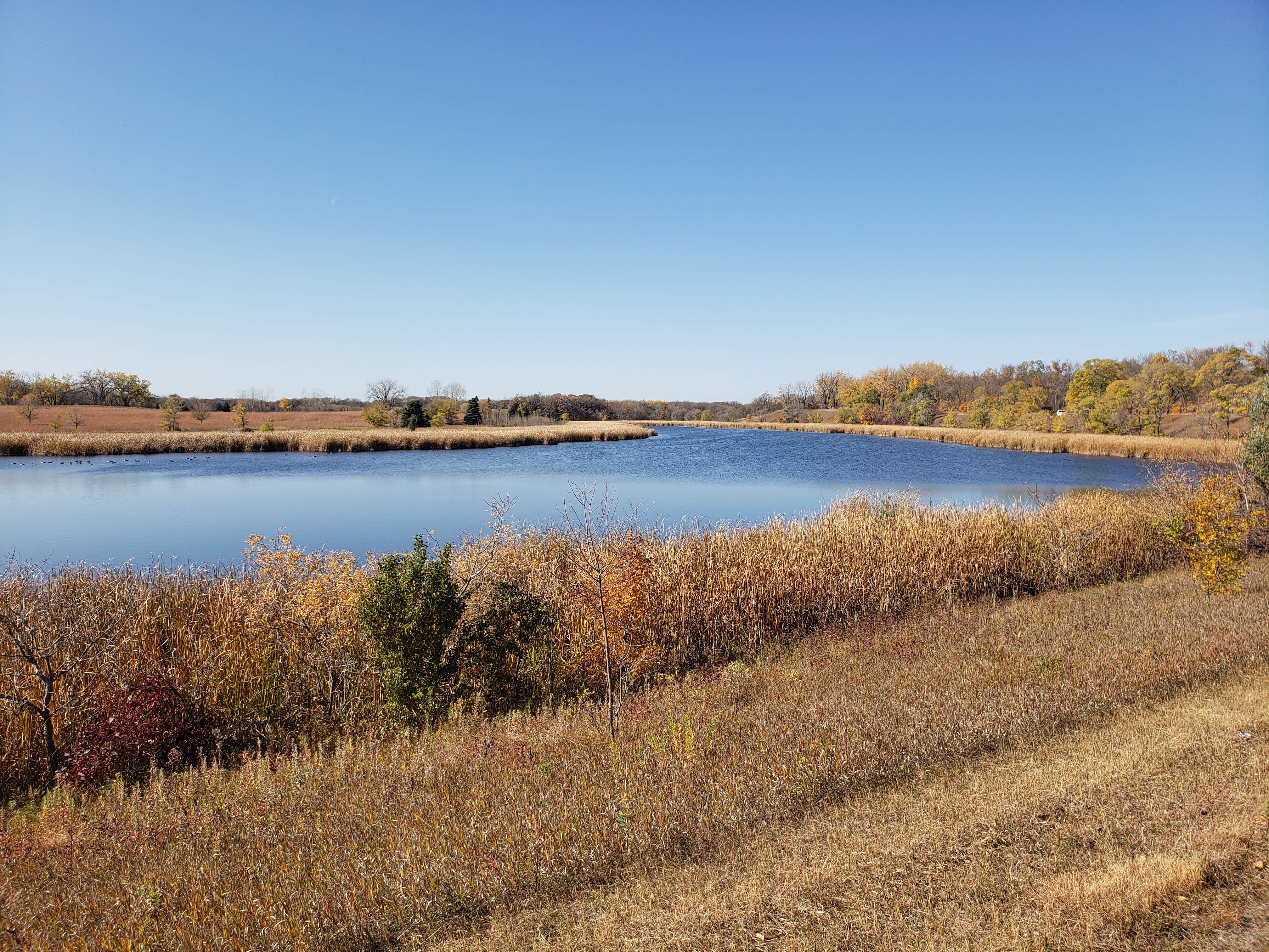 Turtle River The Dyrt