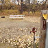 Review photo of Turtle River State Park Campground by Chris A., October 11, 2020