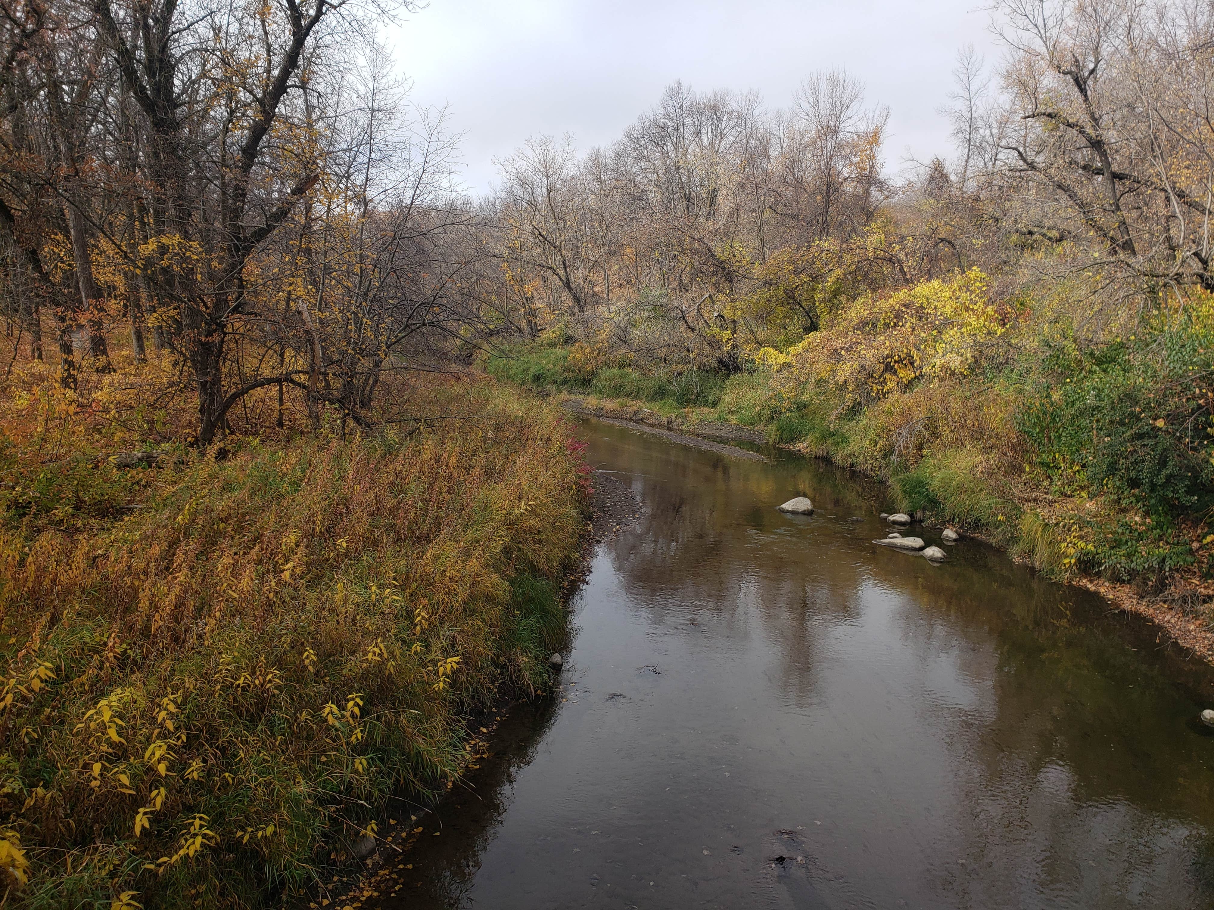 Camper-submitted photo at Turtle River State Park Campground in North Dakota