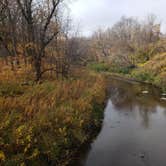 Review photo of Turtle River State Park Campground by Chris A., October 11, 2020