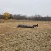 Review photo of Turtle River State Park Campground by Chris A., October 11, 2020