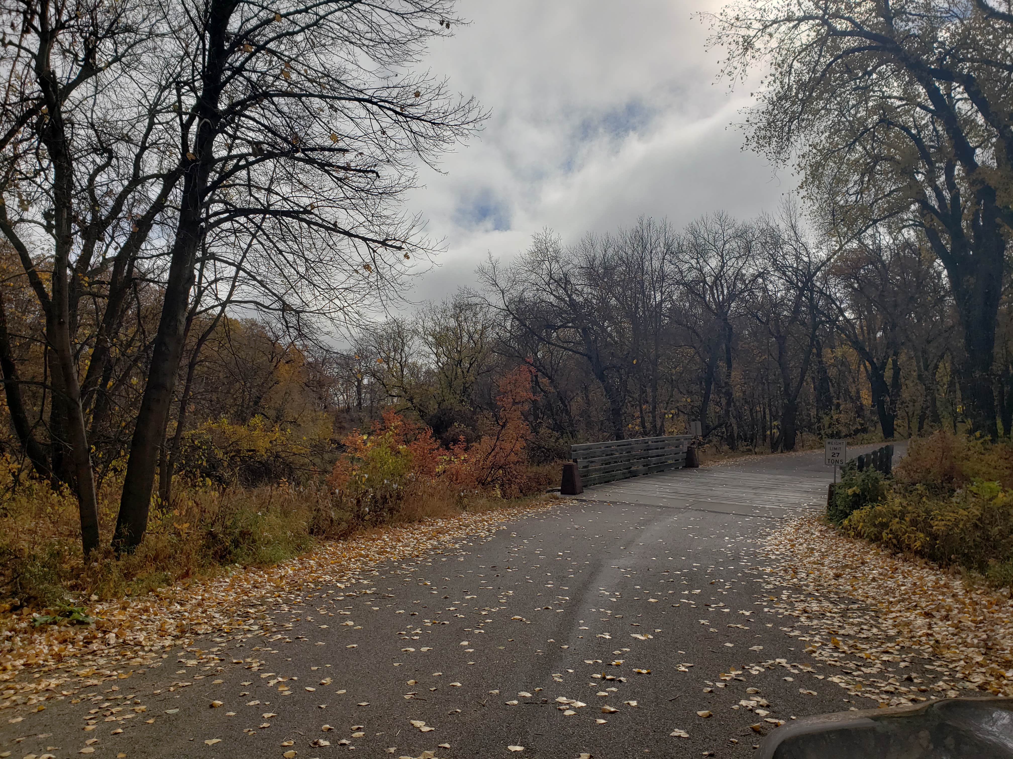 Turtle River State Park Campground