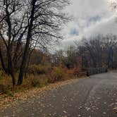 Review photo of Turtle River State Park Campground by Chris A., October 11, 2020