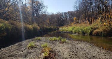 Turtle River
