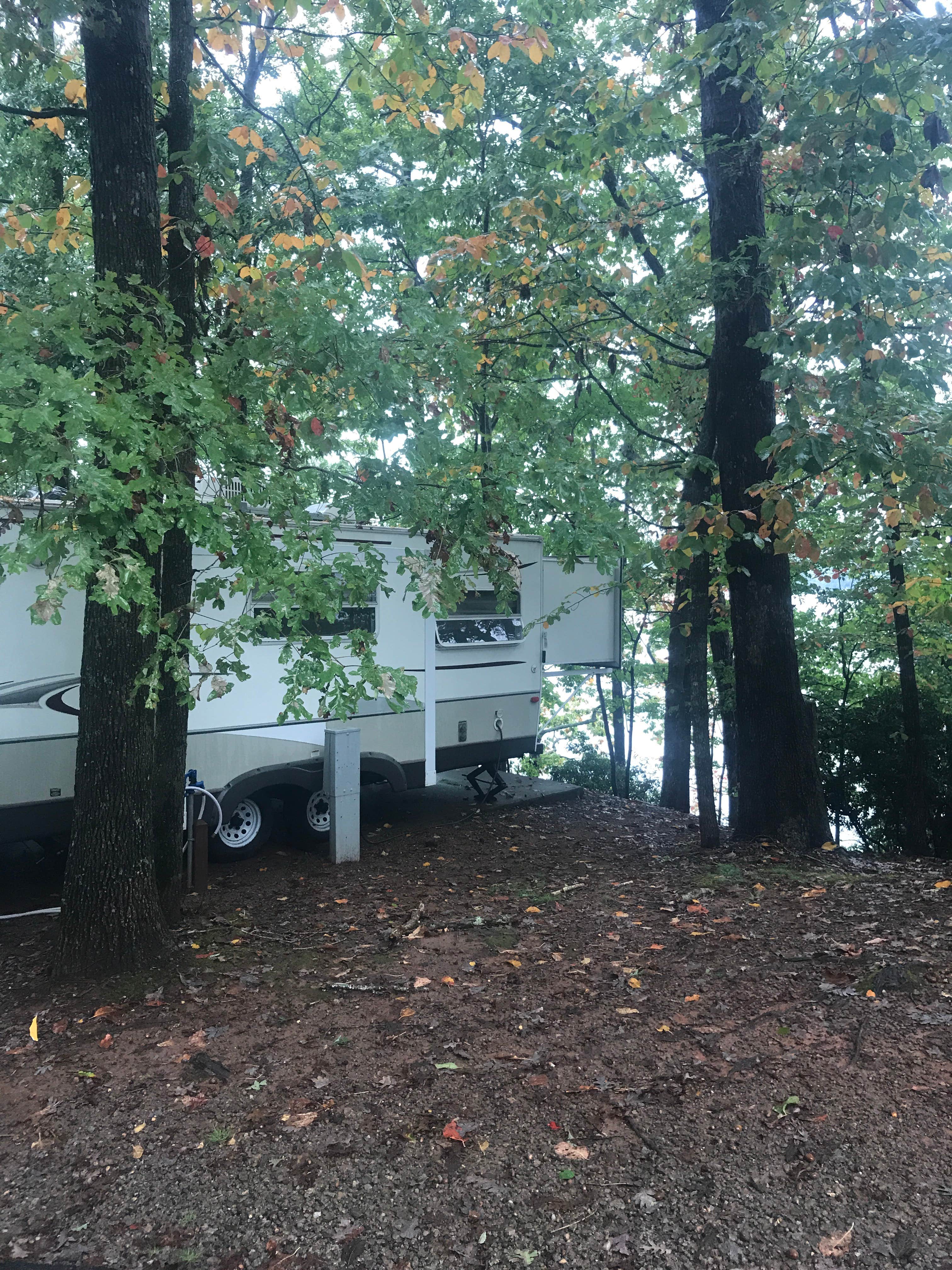 Camper submitted image from River Forks Park & Campground - 3