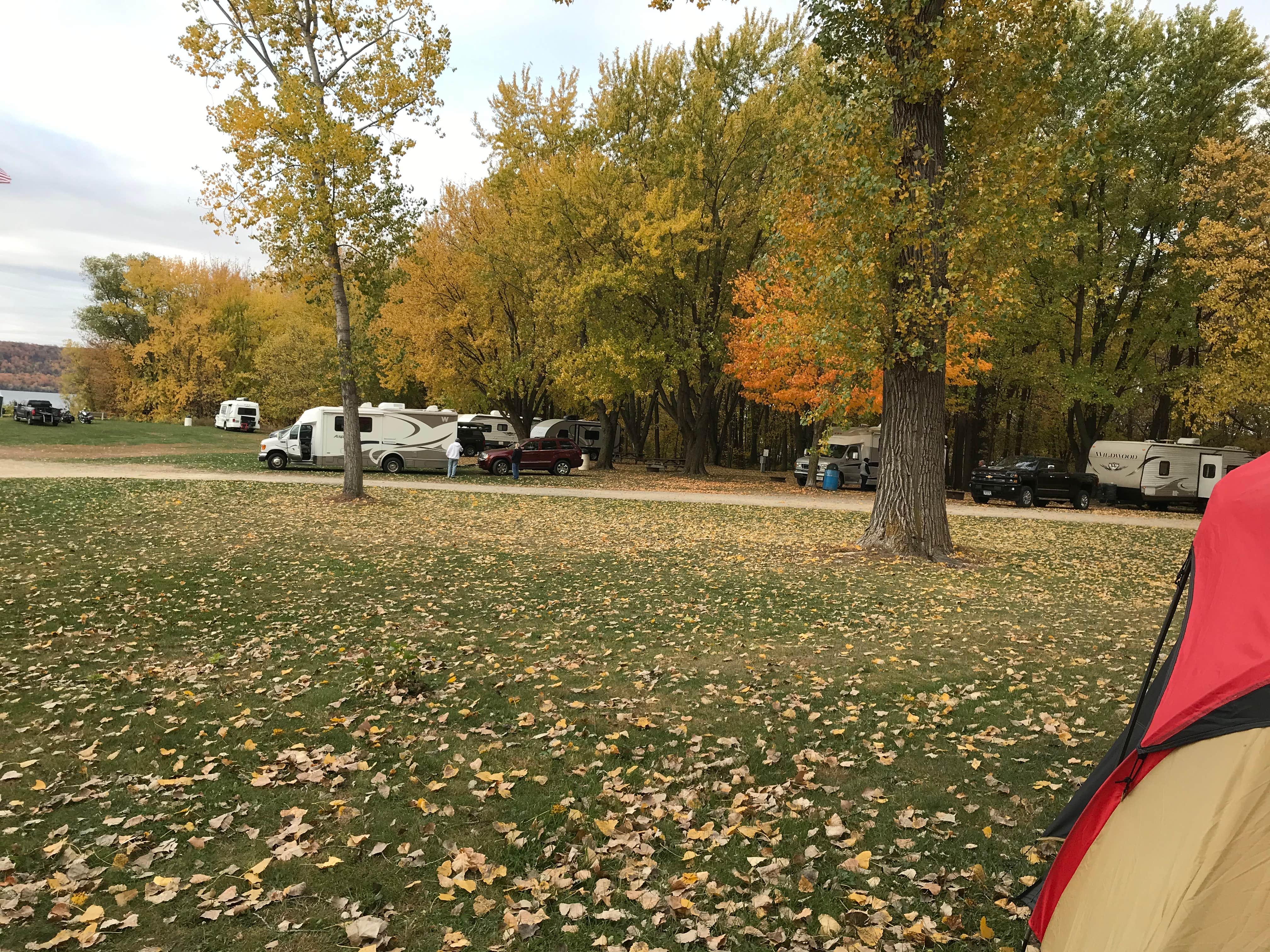 Camper-submitted photo at Village Park near Lake City, MN