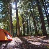 Review photo of Porcupine Mountains Backcountry Camping — Porcupine Mountains Wilderness State Park by Hilary S., October 11, 2020