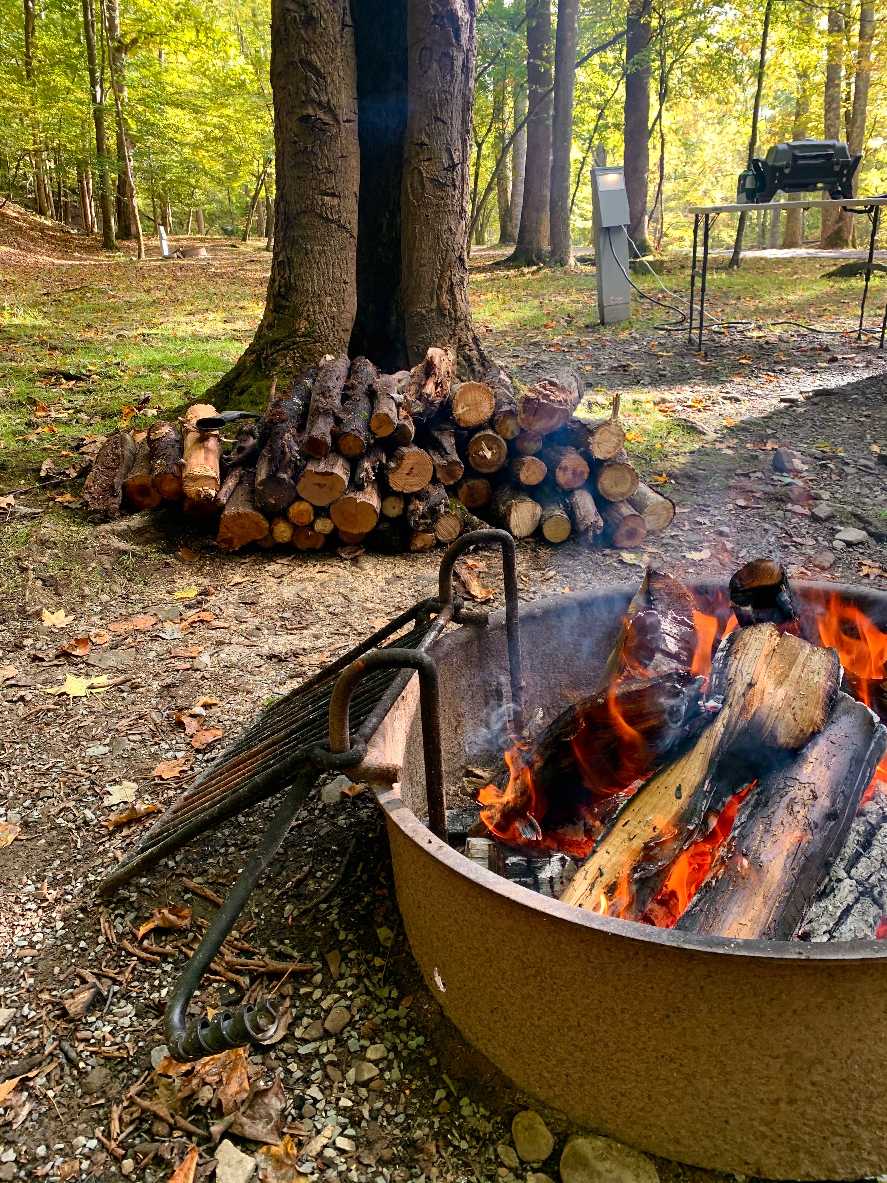 Camper submitted image from Holly River State Park Campground - 1