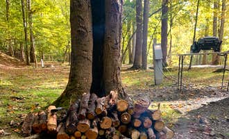 Camping near Gerald R. Freeman — Elk River Wildlife Management Area: Holly River State Park Campground, Hacker Valley, West Virginia