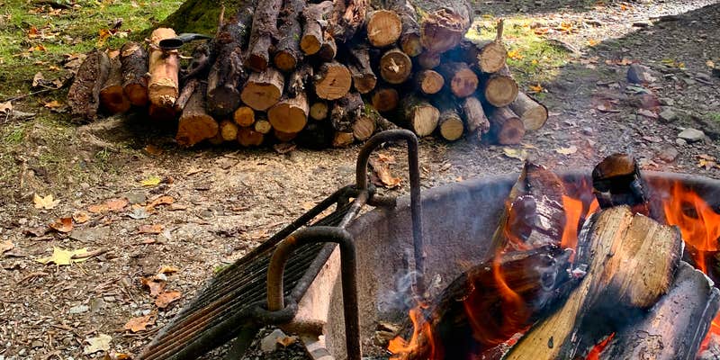 Camper submitted image from Holly River State Park Campground