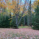 Review photo of Lower Falls Campground — Tahquamenon Falls State Park by Broccoli Boss B., October 11, 2020