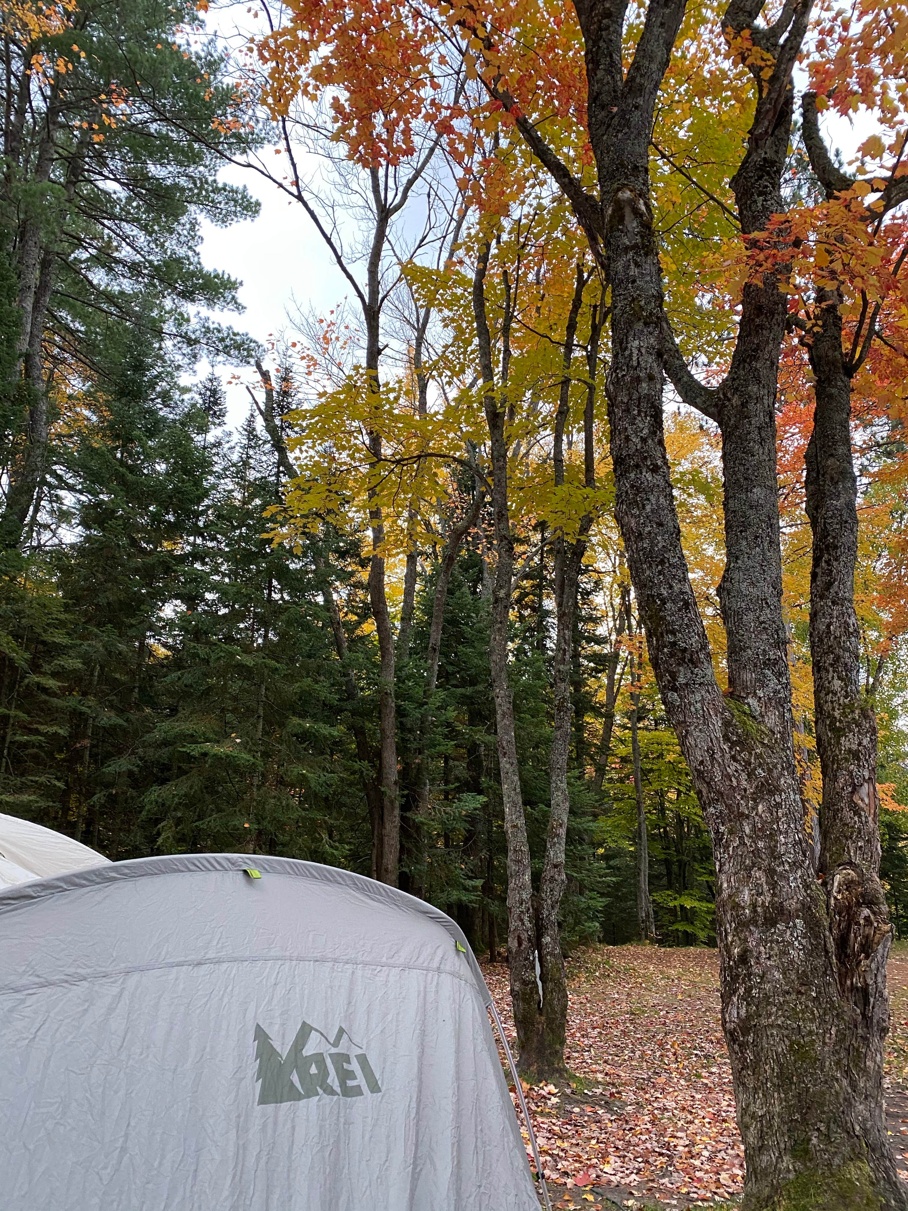 Broccoli Boss B.'s photo at Lower Falls Campground — Tahquamenon Falls State Park near Paradise, MI