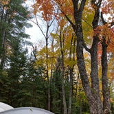 Review photo of Lower Falls Campground — Tahquamenon Falls State Park by Broccoli Boss B., October 11, 2020