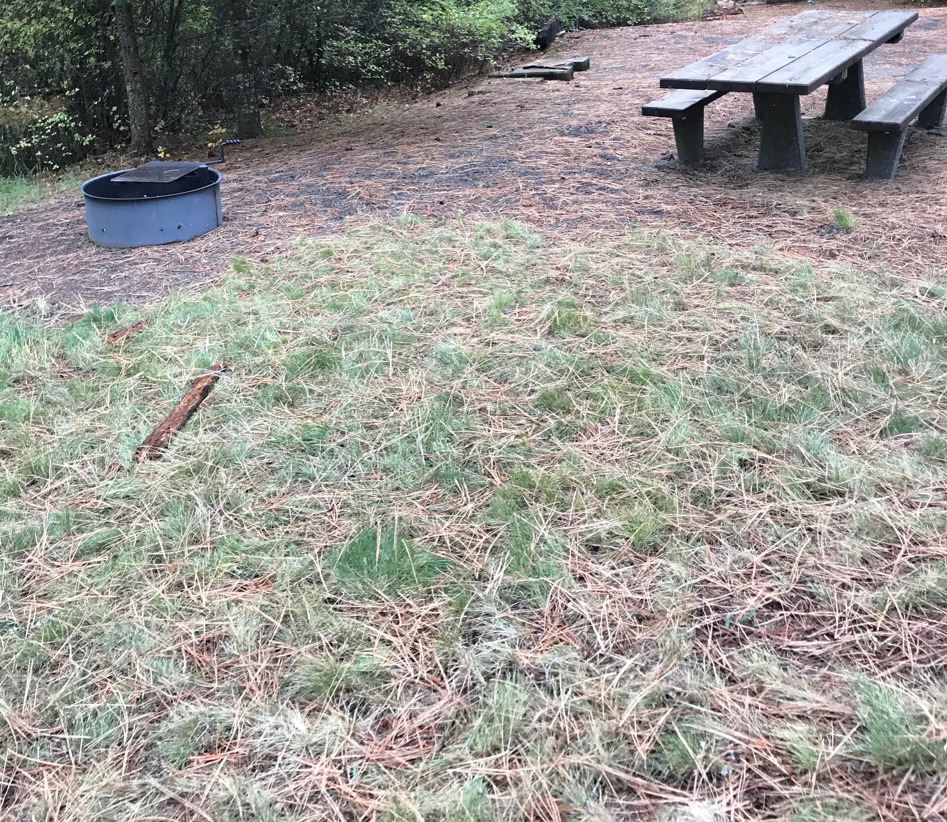 Camper-submitted photo at Laird Park Campground near Lapwai, ID