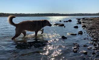Erin's photo of camping with pets at Blue Bill Point near Tahlequah, OK